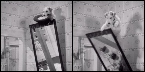 The Awful Truth Mr. Smith