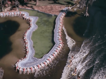 Easy To Love-Esther Williams - 227