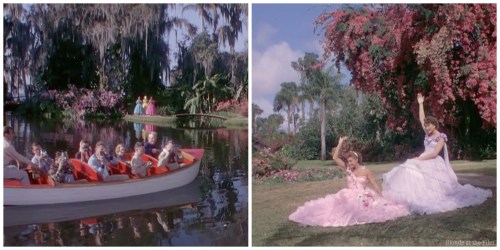 Easy to Love tourists.jpg