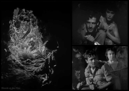 Most Dangerous Game hunt 3