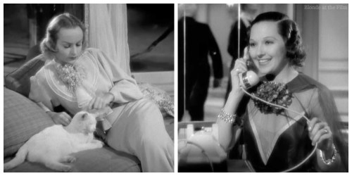 Hands Across Lombard Allwyn dried flowers.jpg