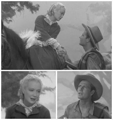 Barbary Coast Hopkins McCrea horse