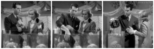 Princess Comes Across fish tank