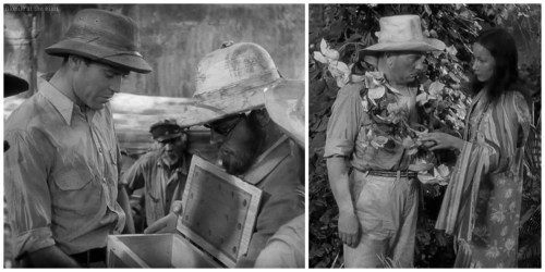 TheLadyEve Fonda jungle