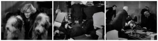 Easy Living Arthur dogs office