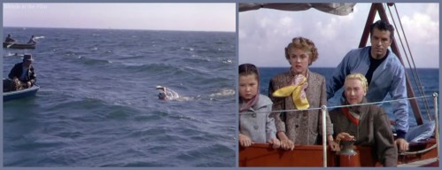 Dangerous When Wet Lamas watching Channel