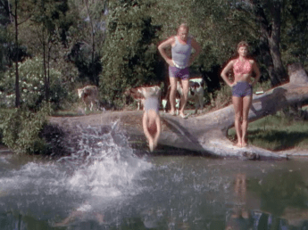 Dangerous When Wet Williams dive