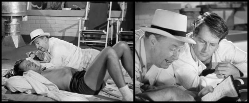 More the Merrier diary roof.jpg