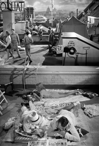 More the Merrier roof.jpg