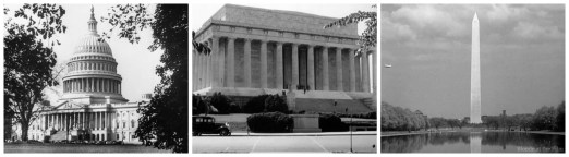 More the Merrier Washington.jpg