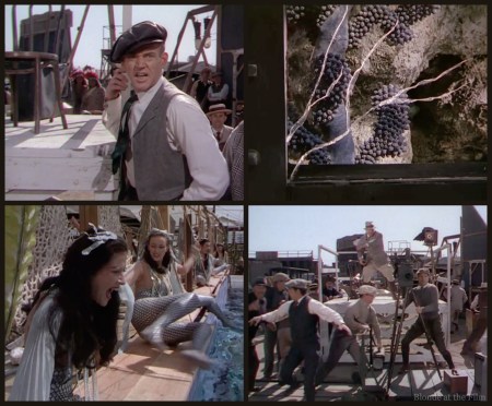 Million Dollar Mermaid crack.jpg