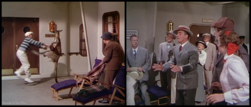 Million Dollar Mermaid Mature kangaroo.jpg