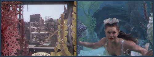 Million Dollar Mermaid Williams tank crack.jpg