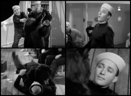 Not Dressing bear song attack.jpg