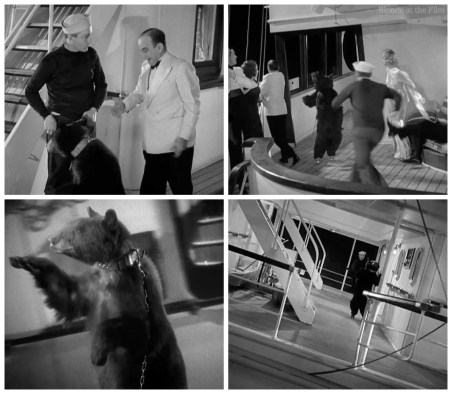 Not Dressing Crosby bear roller skates.jpg