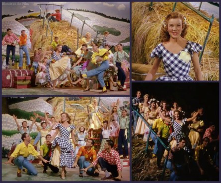 Band Wagon Hay Ride.jpg