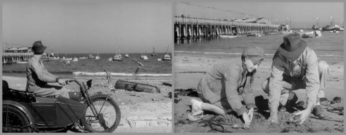 Primrose McCrea Rogers beach.jpg