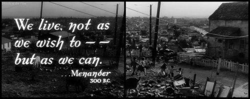 Primrose Menander.jpg