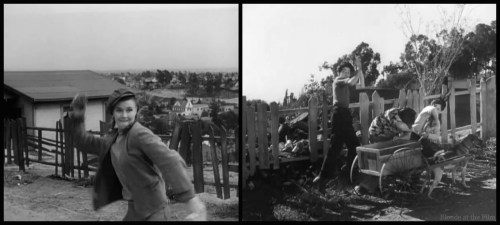 Primrose Rogers stones.jpg