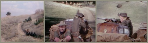 Calamity Jane attack.jpg