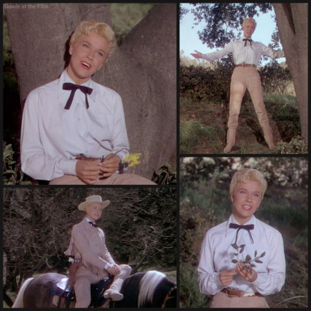 Calamity Jane Day secret love.jpg