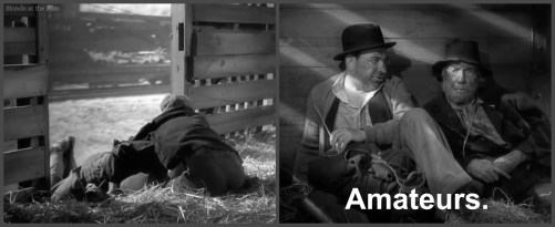 Sullivans Travels amateurs