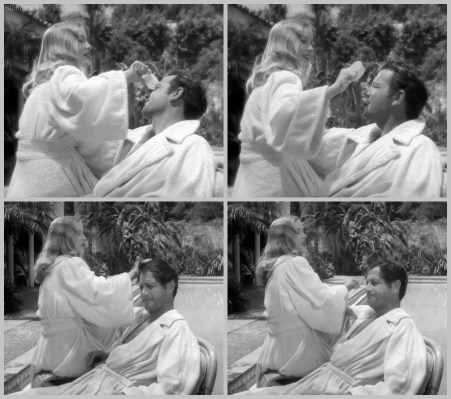 Sullivans Travels McCrea Lake brush