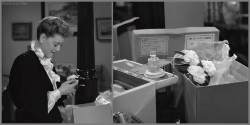 Now Voyager Davis camellia