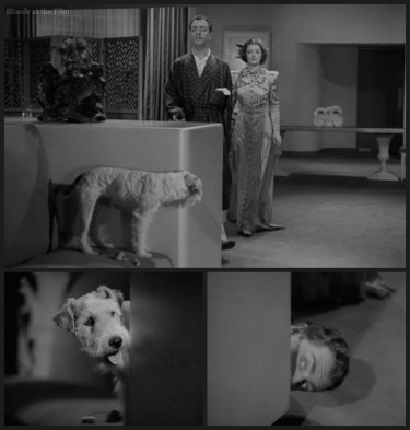 After Thin Man Loy Powell Asta chase 2