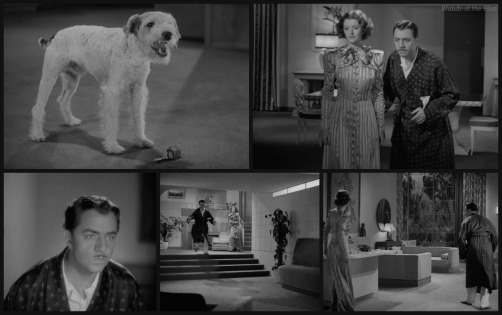 After Thin Man Loy Powell Asta chase
