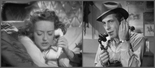 Dark Victory Davis Bogart phone