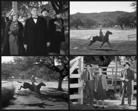 Dark Victory Reagan Davis Bogart Fitzgerald horse