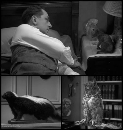 Love You Again Powell animals