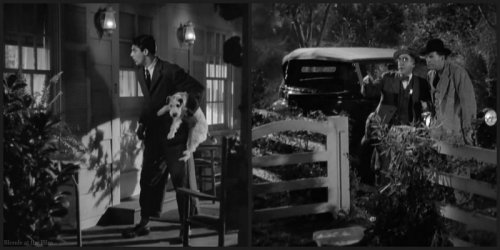 Bringing Up Baby Grant peeping