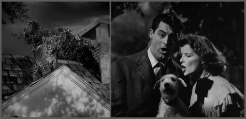 Bringing Up Baby Hepburn Grant harmony