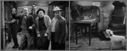 Bringing Up Baby jail