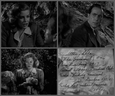 All Through the Night Verne Bogart woods