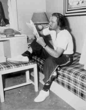 The Three Musketeers: Van Heflin