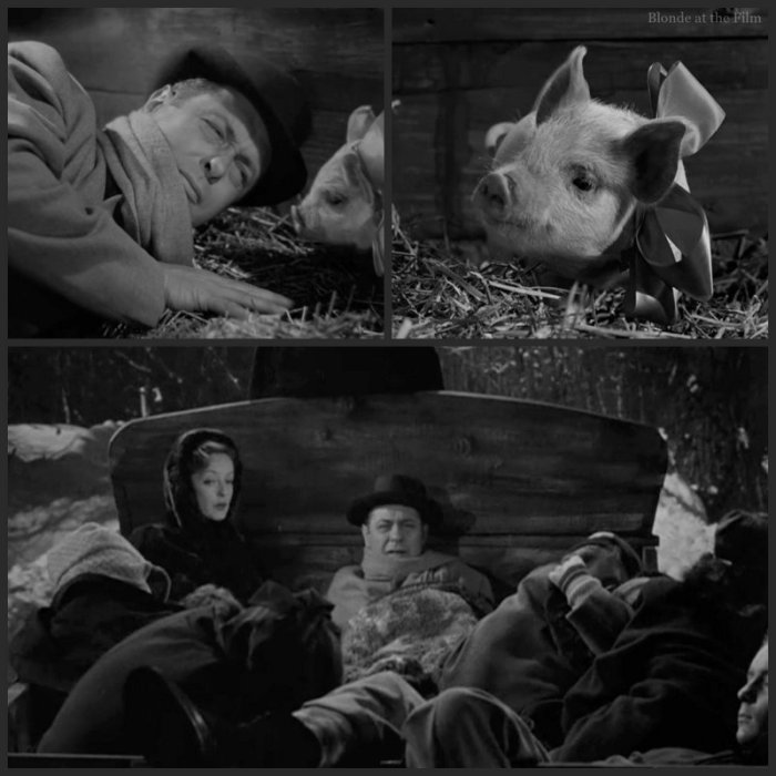 June Bride: Bette Davis and Robert Montgomery