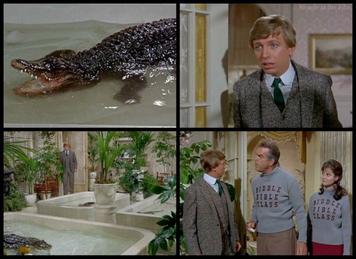 The Happiest Millionaire: Tommy Steele and Fred MacMurray