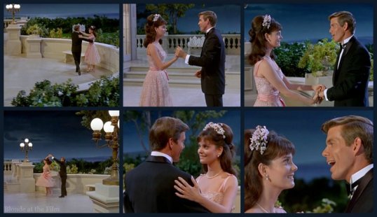 The Happiest Millionaire: Lesley Ann Warren and John Davidson