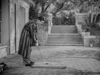 Skylark: Ray Milland