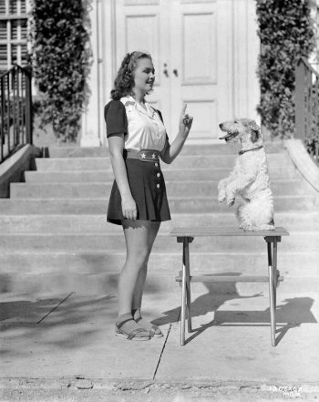 Shadow of the Thin Man: Donna Reed